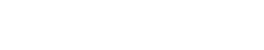 MAX MUSIC